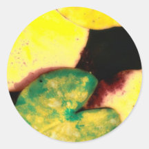 Water lily leaves round sticker