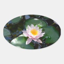 water lily oval Sticker