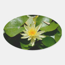 water lily oval Sticker