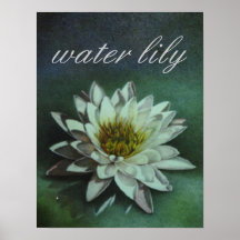 Water Lily Print