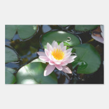 water lily rectangle Sticker