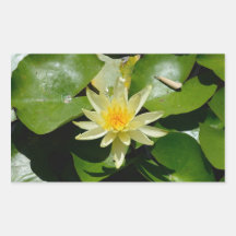 water lily rectangle Sticker