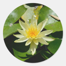 water lily round Sticker