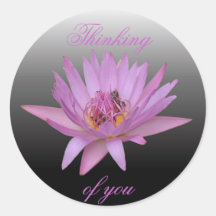 Water Lily Round Sticker