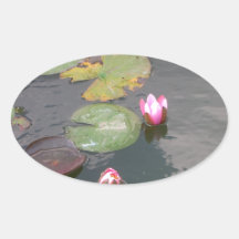Water Lily Sticker