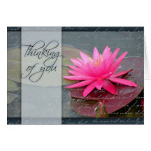 Water lily thinking of you cards