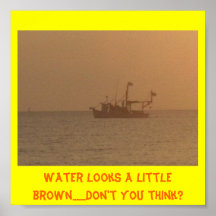Water looks a little brown.......Don't... Posters