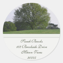 Water Oak Tree Address Label Stickers
