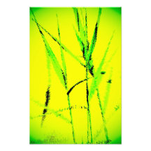 Water Reed Digital Art Art Photo