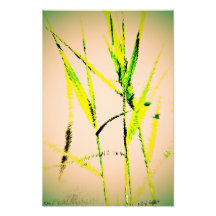 Water Reed Digital Art Photograph