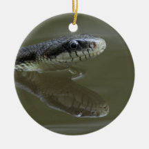 water snake and reflection christmas ornament