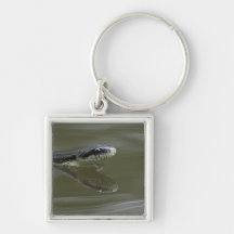 Water snake swimming with reflection keychain