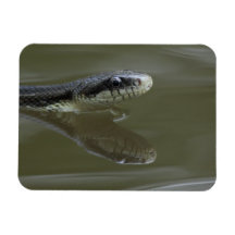 Water snake swimming with reflection magnets