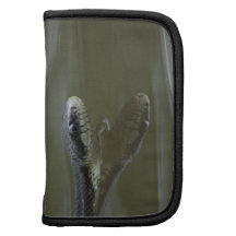 Water snake swimming with reflection organizer