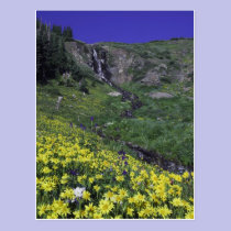 Waterfall and wildflowers in alpine meadow, postcards