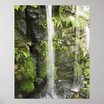 Waterfall, Temperate rainforest, New Zealand. Print