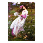 Waterhouse Windflowers Print Photo