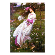 Waterhouse Windflowers Print Photo