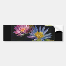 Waterilly Bumper Stickers