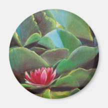 waterlilies magnet