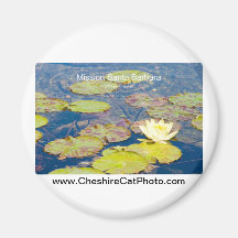Waterlilies Mission Santa Barbara CA Products Fridge Magnet