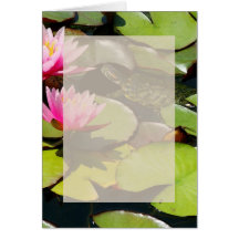 Waterlilies Stationery Card