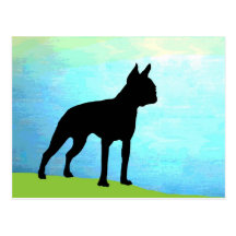 Waterside Boston Terrier Post Cards