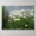 Waterside Daisies Print