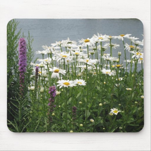 Waterside Dasies Mousepad