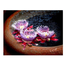 Watervase Garden Postcard