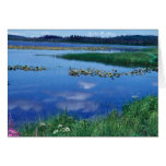 Watson Lake in Summer Greeting Card