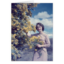 Wattle in Canberra - retro Cards