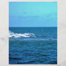 Wave breaking on reef flyer