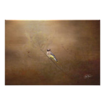 Waxwing Visiting Georgia Photographic Wall Art Dec
