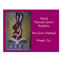 We Grow Fatties! Postcard