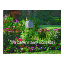 We Have a New Address Postcards