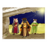 We Three Cats Postcards