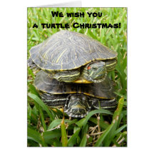 We wish you a turtle Christmas! Greeting Card