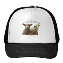 Wear Wool Zaflunden Hats