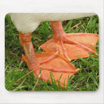 web feet mousepad