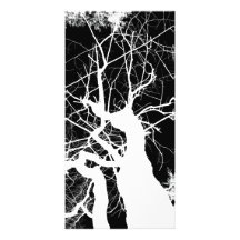 WEBBY TREE BLACK AND WHITE NEGATIVE PICTURE CARD