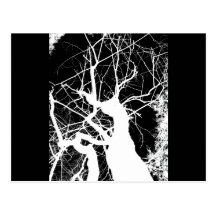 WEBBY TREE BLACK AND WHITE NEGATIVE POSTCARDS
