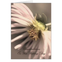 Wedding Day - Congratulations cards