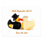 Wedding ducks 3 ... Postcard