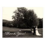Wedding Thank you Postcards