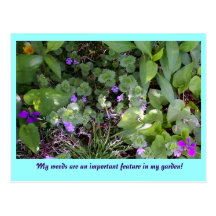 Weeds Postcard