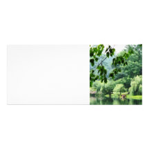 Weeping Willow in the Mist Customized Rack Card