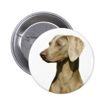 Weimaraner Pinback Button