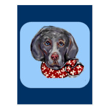 Weimaraner Post Card
