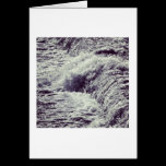 Weir cards